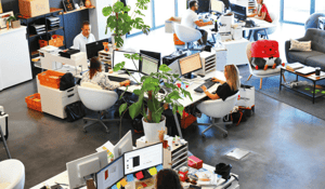 This is an image of people working in an office.